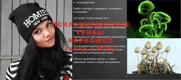 гашик Балахна