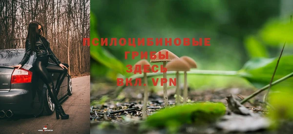 гашик Балахна