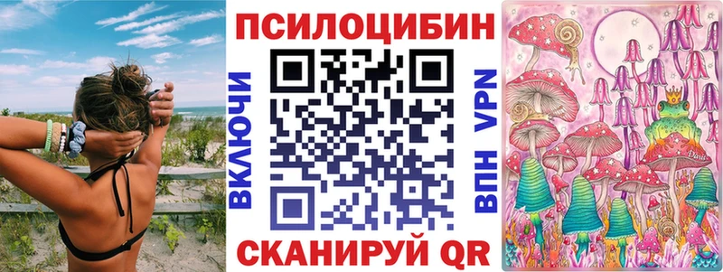Псилоцибиновые грибы Psilocybine cubensis  Вилючинск 