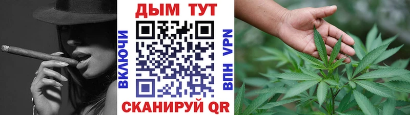 купить наркотик  Вилючинск  Бошки марихуана Bruce Banner 